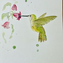 My project in Naturalist Bird Illustration with Watercolors course. Projekt z dziedziny Trad, c, jna ilustracja, Malowanie akwarelą, R, sunek realist, czn, Ilustracja naturalist i czna użytkownika Teres D - 31.01.2022