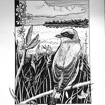 Mój projekt z kursu: Rysunki piórkiem i tuszem: przedstaw świat przyrody. Sketching, Drawing, Artistic Drawing, Sketchbook, Ink Illustration, and Naturalistic Illustration project by Patrycja Turek - 01.31.2022