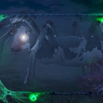 Mon projet antérieur au cours : Ma 'Spider-Cow' (2021) en étapes, heure par heure (ça peut en intéresser certains). Photograph, Collage, Photo Retouching, Digital Illustration, Photographic Composition, and Photomontage project by Emile Fischer - 09.01.2021