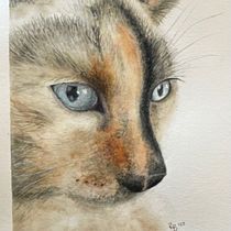 My project in Expressive Animal Portraits in Watercolor course_my cat. Un proyecto de Pintura a la acuarela, Dibujo realista e Ilustración naturalista				 de Rhonda Bathurst - 30.01.2022