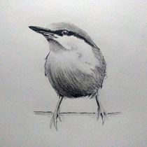 Mi Proyecto del curso: Acuarela artística para ilustración de aves. Traditional illustration, Watercolor Painting, Realistic Drawing, and Naturalistic Illustration project by Mónica Ochoa de Muñoz - 02.01.2022