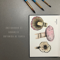 sketchbook de acuarela botánica de carla. Projekt z dziedziny Trad, c, jna ilustracja, Malowanie akwarelą, R, sunek botaniczn i Sketchbook użytkownika carlariffel7 - 01.02.2022