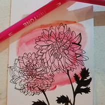 Mein Kursprojekt: Botanisches Zeichenheft: ein meditativer Ansatz. Ilustração tradicional, Esboçado, Desenho, Pintura em aquarela, Ilustração botânica, e Sketchbook projeto de Claudia Schäfer - 02.02.2022