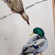 My project in Artistic Watercolor Techniques for Illustrating Birds course. Traditional illustration, Watercolor Painting, Realistic Drawing, and Naturalistic Illustration project by Angela Counter - 02.02.2022