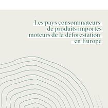 Projet datavisualisation / Les pays consommateurs de produits importésmoteurs de la déforestation en Europe. Un progetto di Design dell’informazione, Design interattivo e Infografica di Gaëlle Huber - 03.02.2022