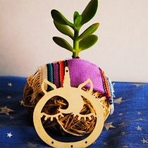 Mi Proyecto del curso: Kokedamas: crea macetas naturales de musgo. Arts, Crafts, Interior Design, L, scape Architecture, Decoration, DIY, Floral, and Plant Design project by uriel adair castro lopezvaal - 02.01.2022