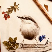 Mein Kursprojekt: Illustriere Vögel mit expressiven Aquarelltechniken. Traditional illustration, Watercolor Painting, Realistic Drawing, and Naturalistic Illustration project by Jessica Grandidier - 02.04.2022