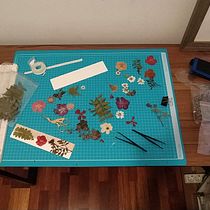 Mi Proyecto del curso: Técnicas básicas de prensado botánico. Un progetto di Artigianato, Belle arti, Collage, DIY e Design floreale e vegetale di Teresa Rojas - 04.02.2022