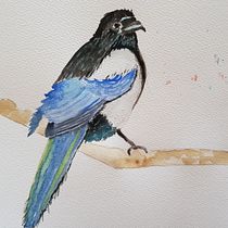 My project in Artistic Watercolor Techniques for Illustrating Birds course. Traditional illustration, Watercolor Painting, Realistic Drawing, and Naturalistic Illustration project by Helga Hahnemann - 02.04.2022