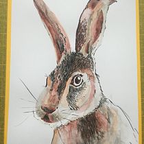 Mijn project van de cursus: Experimentele aquareltechnieken voor beginners. Un progetto di Illustrazione tradizionale, Belle arti, Pittura ad acquerello e Illustrazione naturalistica di Els van Leemput - 04.02.2022