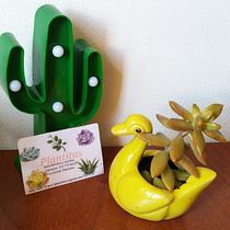 Mi Proyecto del curso: Diseño y creación de composiciones botánicas. Een project van Interieurontwerp, L, scaping,  Interieurdecoratie y Bloem- en plantenschikken van visolarbelaez - 31.01.2022