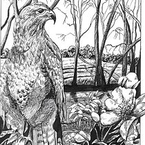 Mon projet du cours : Illustration à l'encre et à la plume : représentez le monde naturel. Un projet de Esquisse , Dessin, Dessin artistique, Carnet de croquis, Illustration à l'encre et Illustration naturaliste de marie orilel - 04.02.2022