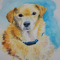Wile E.-My project in Expressive Animal Portraits in Watercolor course. Un proyecto de Dibujo realista, Ilustración naturalista				, Ilustración tradicional y Pintura a la acuarela de Catherine Hackett - 30.01.2022