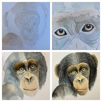 Lobo. Un proyecto de Ilustración tradicional, Pintura a la acuarela, Dibujo realista e Ilustración naturalista				 de Viviana Pulgar Urquiaga - 05.02.2022