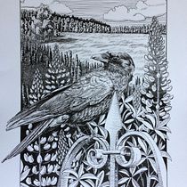 My project in Dip Pen and Ink Illustration: Capturing The Natural World course. Un proyecto de Bocetado, Dibujo, Dibujo artístico, Sketchbook, Ilustración con tinta e Ilustración naturalista				 de Jennifer McConnell - 02.02.2022