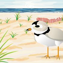 Wildlife Illustration for Children's Books course: Piping Plover on the Beach. Un progetto di Illustrazione vettoriale, Illustrazione digitale e Illustrazione infantile di ksullm - 20.02.2022