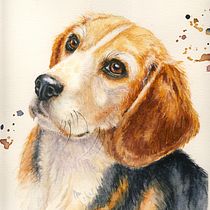My Project in Expressive Animal Portraits in Watercolor course Ein Projekt aus dem Bereich Traditionelle Illustration, Aquarellmalerei, Realistische Zeichnung und Naturalistische Illustration von Wendy Coetzee - 03.02.2022