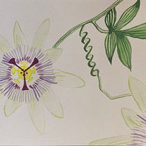 My project in Modern Watercolor Techniques course. Un progetto di Illustrazione tradizionale, Pittura, Pittura ad acquerello e Belle arti di Virginia Sunshine - 05.02.2022