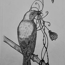 Mi Proyecto del curso: Ilustración naturalista con bolígrafo.. Traditional illustration, Drawing, Naturalistic Illustration, and Realistic Drawing project by Dahiana Giró - 01.14.2022