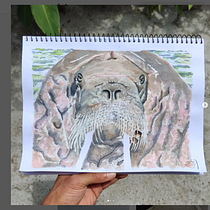 Mi Proyecto del curso: Técnicas experimentales de acuarela para principiantes. Un progetto di Illustrazione tradizionale, Belle arti, Pittura ad acquerello e Illustrazione naturalistica di Juliano A Motta - 06.02.2022