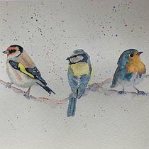 Mon projet du cours : Techniques artistiques d'aquarelle pour illustrer les oiseaux. Traditional illustration, Watercolor Painting, Realistic Drawing, and Naturalistic Illustration project by Marion Vigier - 02.07.2022
