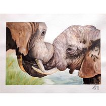 My exercises in Expressive Animal Portraits in Watercolor course. Un proyecto de Ilustración tradicional, Pintura a la acuarela, Dibujo realista e Ilustración naturalista				 de Vanessa Szabó - 08.04.2022