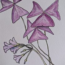 Mon projet du cours : Carnet de croquis botanique : une approche méditative. Ilustração tradicional, Esboçado, Desenho, Pintura em aquarela, Ilustração botânica, e Sketchbook projeto de julienhrman - 06.02.2022