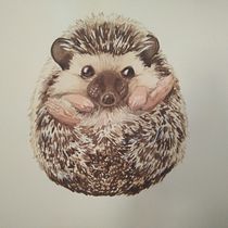 Mi Proyecto del curso: Técnicas experimentales de acuarela para principiantes. Un progetto di Illustrazione tradizionale, Belle arti e Pittura ad acquerello di Anne Pascual Palacios - 09.02.2022