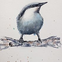 My project in Artistic Watercolor Techniques for Illustrating Birds course. Traditional illustration, Watercolor Painting, Realistic Drawing, and Naturalistic Illustration project by Bobby Venedam - 02.09.2022