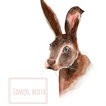 Mi Proyecto del curso: Técnicas experimentales de acuarela para principiantes. Un progetto di Illustrazione tradizionale, Belle arti, Pittura ad acquerello e Illustrazione naturalistica di Isabel Sauvage - 09.02.2022
