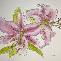 My project in Botanical Sketchbooking: A Meditative Approach course. Ilustração tradicional, Esboçado, Desenho, Pintura em aquarela, Ilustração botânica, e Sketchbook projeto de brennan_taryn - 09.02.2022