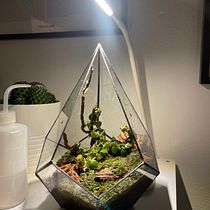 Il mio progetto del corso: Creazione di un terrario con la tecnica Tiffany. Un proyecto de Diseño de complementos, Diseño de interiores, Decoración de interiores, DIY y Diseño de deborarepetto1313 - 09.02.2022