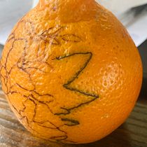 My project (the smallest ever orange) in Tattoo for Beginners course. Tattoo Design project by Bridget Boyle - 02.10.2022