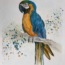My project in Artistic Watercolor Techniques for Illustrating Birds course. Watercolor Painting project by b_a_rotter - 02.11.2022