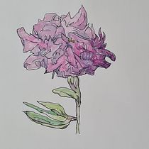 Daan's botanische sketchbook. Ilustração tradicional, Esboçado, Desenho, Pintura em aquarela, Ilustração botânica, e Sketchbook projeto de daansvermaak - 12.02.2022