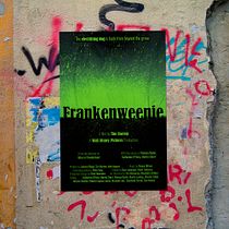 Il mio progetto del corso: Design di poster tipografici sperimentali - Frankenweenie :) Ein Projekt aus dem Bereich Grafikdesign, T, pografie und Plakatdesign von ericalondero99 - 12.12.2022