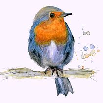 Mein Kursprojekt: Illustriere Vögel mit expressiven Aquarelltechniken. Traditional illustration, Watercolor Painting, Realistic Drawing, and Naturalistic Illustration project by obliee - 02.10.2022