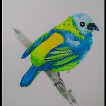 Meu projeto do curso: Aquarela naturalista com expressão e personalidade. Traditional illustration, Watercolor Painting, and Naturalistic Illustration project by Cristina Colato - 02.11.2022
