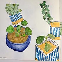 My project in Botanical Sketchbooking: A Meditative Approach course. Ilustração tradicional, Esboçado, Desenho, Pintura em aquarela, Ilustração botânica, e Sketchbook projeto de Angela York - 13.02.2022
