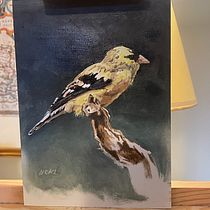 My project in Classical Oil Painting for Naturalist Bird Portraiture course. Fine Arts, Painting, Oil Painting, and Naturalistic Illustration project by hannah_watson_1 - 02.14.2022