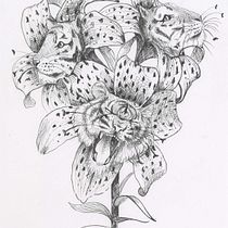 My project in Surrealistic Fineliner Illustration course Ein Projekt aus dem Bereich Traditionelle Illustration, Bleistiftzeichnung, Zeichnung, Realistische Zeichnung, Artistische Zeichnung, Illustration mit Tinte und Naturalistische Illustration von Emily Whittingham - 14.02.2022