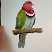My project in Artistic Watercolor Techniques for Illustrating Birds course. Traditional illustration, Watercolor Painting, Realistic Drawing, and Naturalistic Illustration project by Susan Martin - 02.15.2022