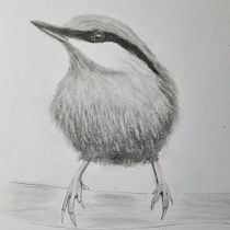 My project in Artistic Watercolor Techniques for Illustrating Birds course. Traditional illustration, and Watercolor Painting project by wzkowapestka - 01.10.2022