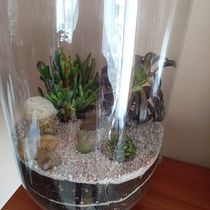 Mi Proyecto del curso: Arte vegetal: crea tu propio terrario abierto. Floral, and Plant Design project by Gemma Iglesias - 02.16.2022