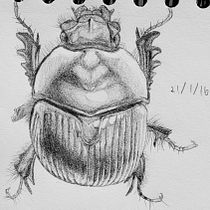 My several previous artworks. Traditional illustration, Sketching, Creativit, Drawing, Sketchbook, Pencil Drawing, Realistic Drawing, Ink Illustration, and Naturalistic Illustration project by Uijun Hwang - 02.17.2022