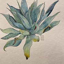 My project in Botanical Sketchbooking: A Meditative Approach course. Ilustração tradicional, Esboçado, Desenho, Pintura em aquarela, Ilustração botânica, e Sketchbook projeto de pjwu93 - 16.02.2022