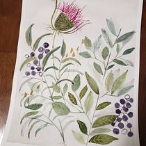 My Garden. Ilustração tradicional, Pintura, Pintura em aquarela, Ilustração botânica, e Criatividade projeto de Judith Umlauf - 17.02.2022