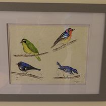 My project in Artistic Watercolor Techniques for Illustrating Birds course. Traditional illustration, Watercolor Painting, Realistic Drawing, and Naturalistic Illustration project by fcourtier - 10.06.2021