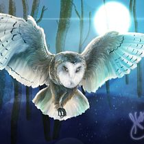 My project in Naturalist Animal Illustration with Procreate course. Un proyecto de Ilustración tradicional, Ilustración digital, Dibujo realista e Ilustración naturalista				 de Nicholas Smith - 18.02.2022