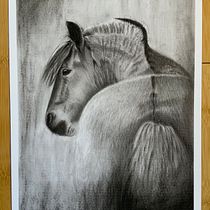 Mi Proyecto del curso: Retrato artístico al carboncillo: creando atmósferas. Traditional illustration, Fine Arts, Drawing, Portrait Drawing, Realistic Drawing, and Artistic Drawing project by Marcela Pacheco Weber - 02.18.2022